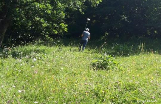 The Woods