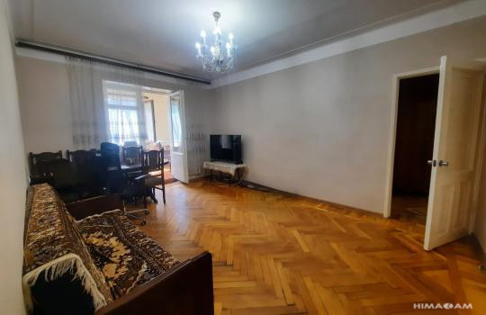 The Woods