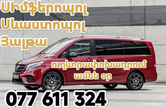 The Woods