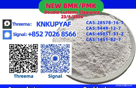 The Woods