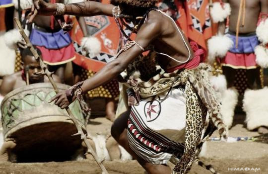 The Woods