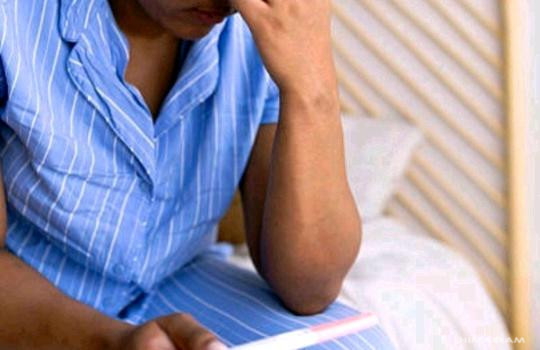The Woods