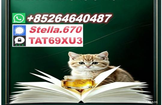 The Woods